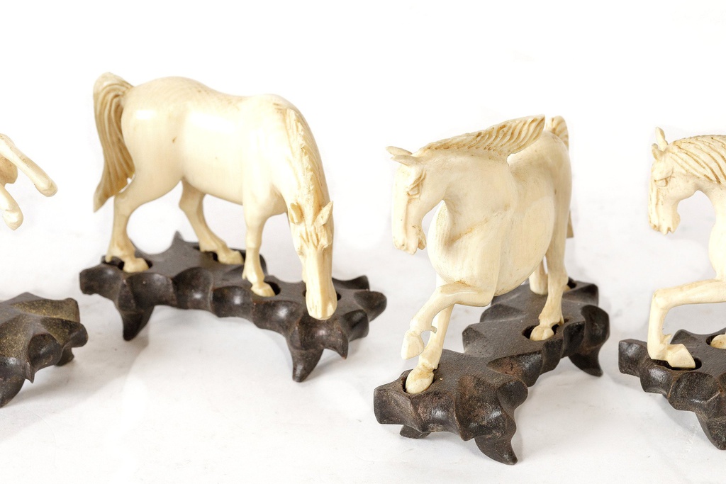 Ivory-horses-sculptures-dramblio-kaulo-skulpturos-3.jpg